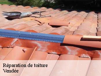 Réparation de toiture Vendée 