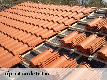 Réparation de toiture Vendée 